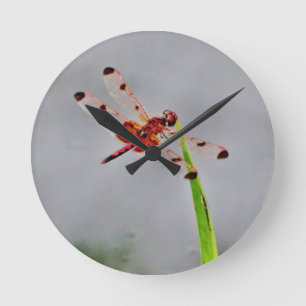 HORLOGE RONDE DSC00029.JPG