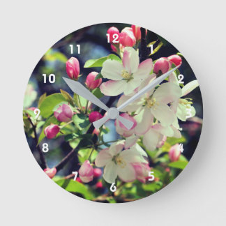Horloge Ronde Early Spring Crabapple Blossoms 3 Close Up