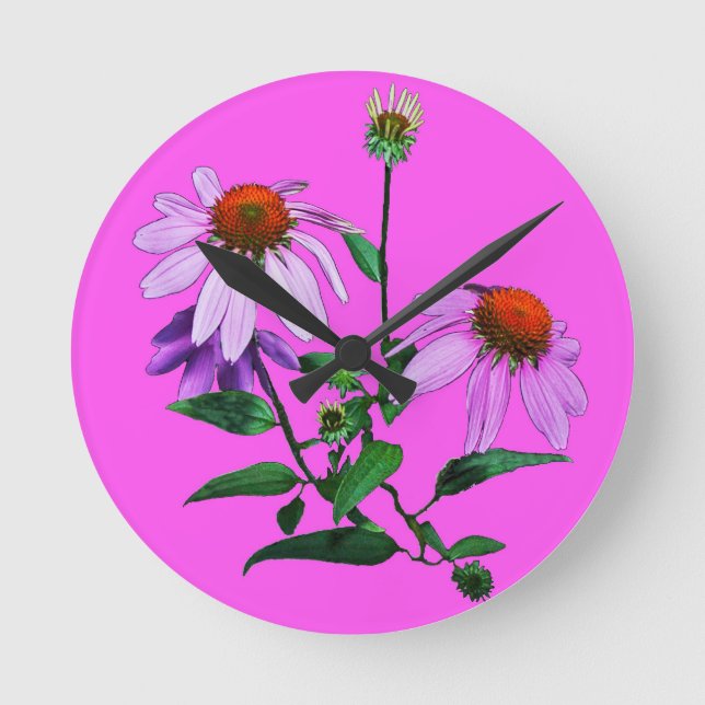 Horloge Ronde Échinacée Pourpre Sur Fond Rose (Recto)