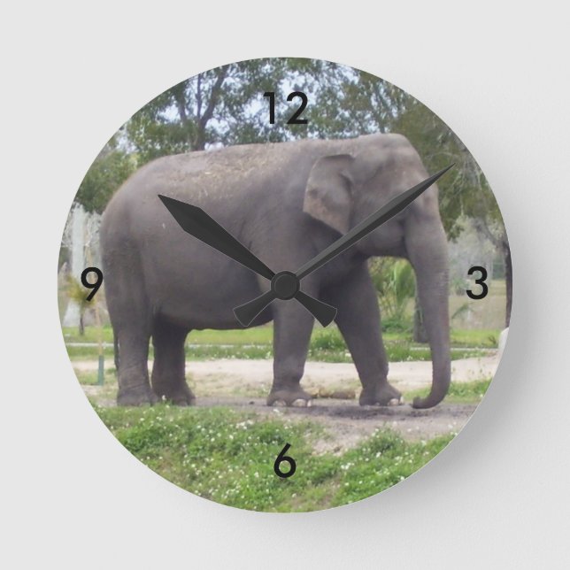 Horloge Ronde Éléphant sur le chemin tranquille du temps (Recto)