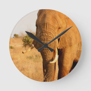 Horloge Ronde Éléphants
