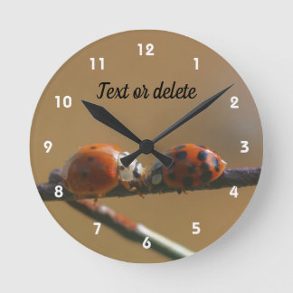 Horloge Ronde Embrasser Ladybugs Sur Une Clôture De Fil Personna