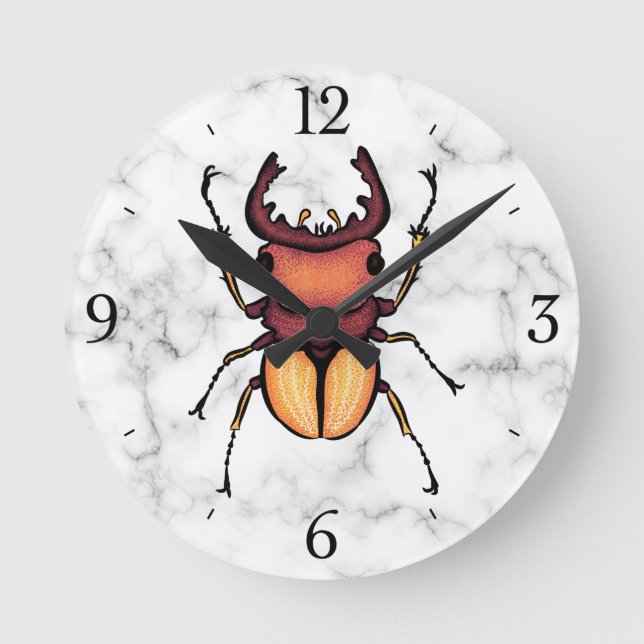 Horloge Ronde Entomologie de l'art de l'insecte du scarabée (Recto)