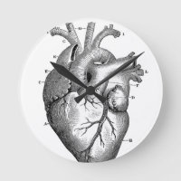 Équipe cycliste Black Anatomical