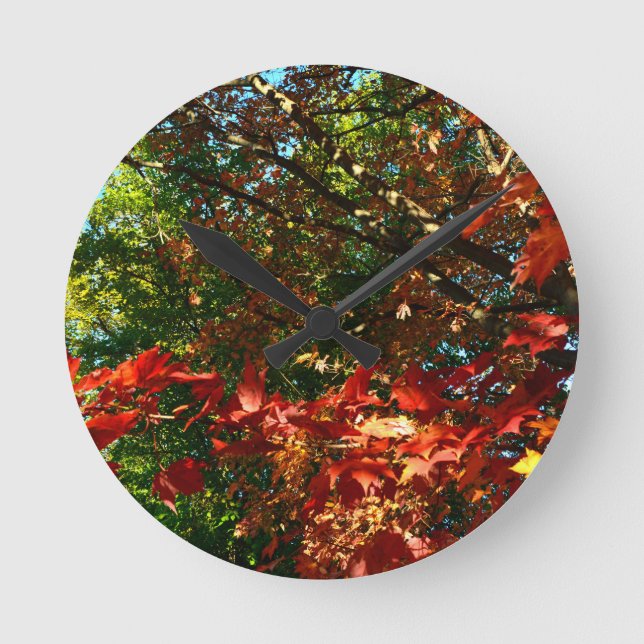 Horloge Ronde Érable japonais en automne (Recto)