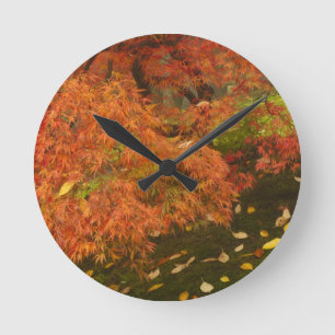 Horloge Ronde Érable japonais en couleur d'automne