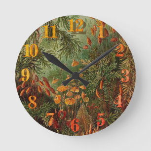 Horloge Ronde Ernst Haeckel Muscinae illustration vintage