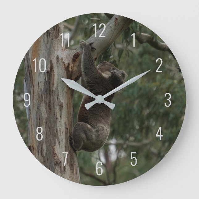 Horloge Ronde Escalade Koala dans un arbre Australie Grande horl (Recto)