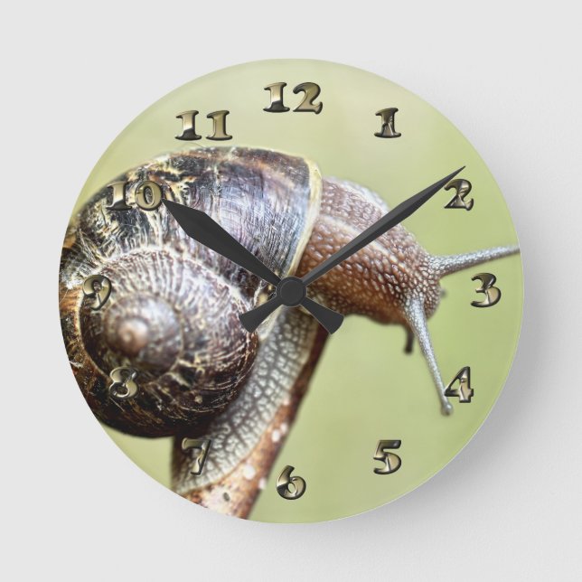 Horloge Ronde Escargots - Le Plaisir Riche (Recto)