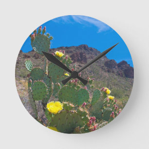 Horloge Ronde États-Unis, Arizona. Cactus dans les collines