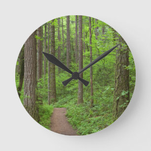 Horloge Ronde États-Unis, Oregon, Columbia River Gorge. Chutes 