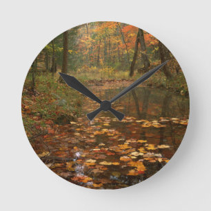 Horloge Ronde États-Unis, Virginie, Automne Dans Le Douthat Sta