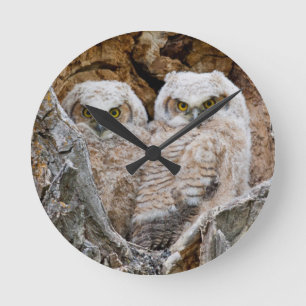 Horloge Ronde États-Unis, Wyoming, Parc national de Grand Teton