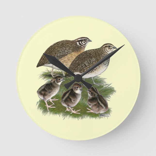 Horloge Ronde Famille Coturnix Quail (Recto)
