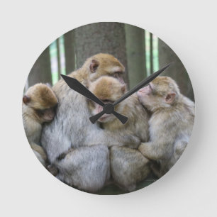 Horloge Ronde Famille Cute Ape Photo Hug