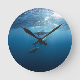 Horloge Ronde Famille Dolphin sous-marine