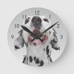 Horloge Ronde Fermez-vous d'un chien dalmatien
