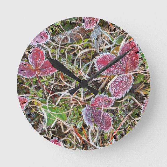 Horloge Ronde Feuilles couvertes de givre, Canada (Recto)