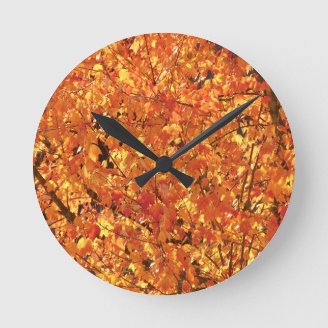 Horloge Ronde Feuilles d'automne sur arbre - photo.   (Recto)