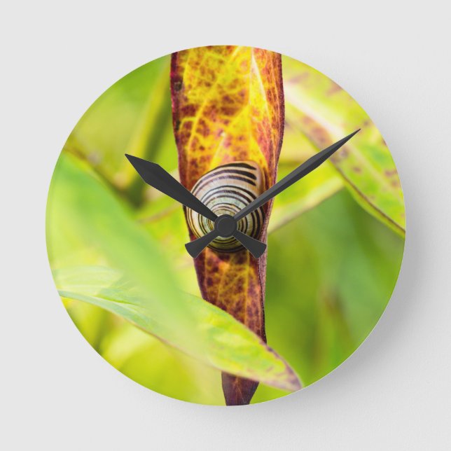 Horloge Ronde fixation calme (Recto)
