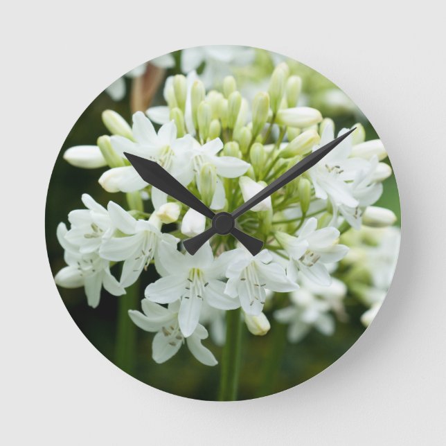 Horloge Ronde Fleur Agapanthus blanche (Recto)