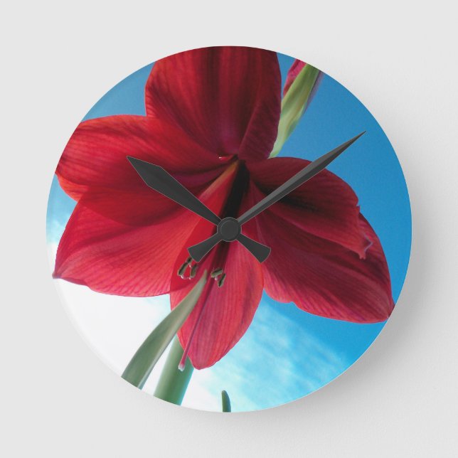 Horloge Ronde Fleur Amaryllis rouge vif (Recto)