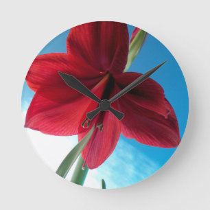 Horloge Ronde Fleur Amaryllis rouge vif