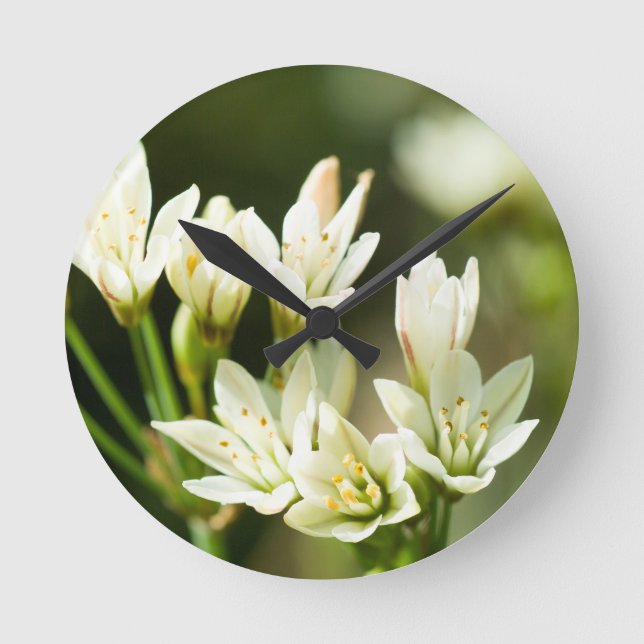 Horloge Ronde Fleur blanche (Recto)