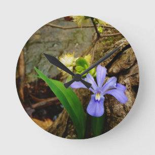 Horloge Ronde Fleur blanche pourpre bleu Iris