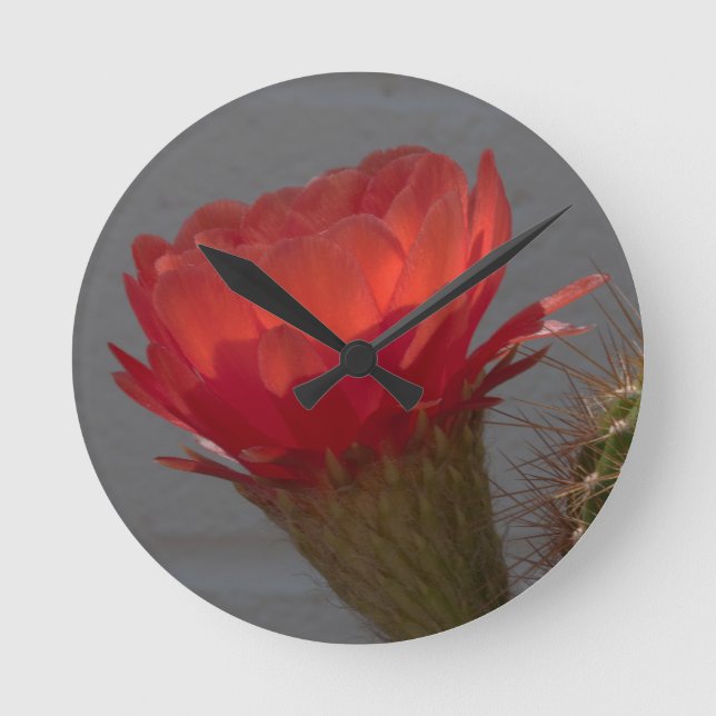 Horloge Ronde Fleur de cactus de la Torche rouge (Recto)