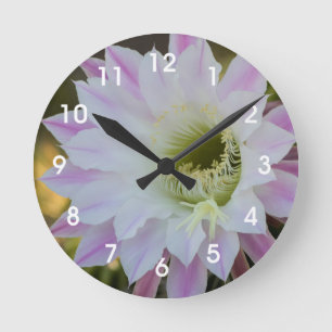 Horloge Ronde Fleur de cactus violet et blanc