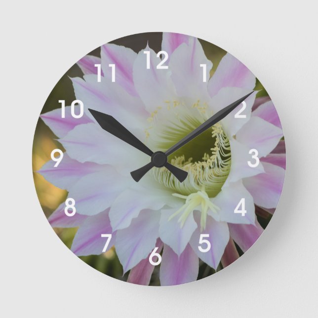 Horloge Ronde Fleur de cactus violet et blanc (Recto)