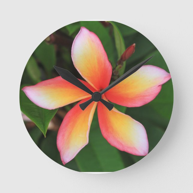 Horloge Ronde Fleur de frangipanier (Recto)