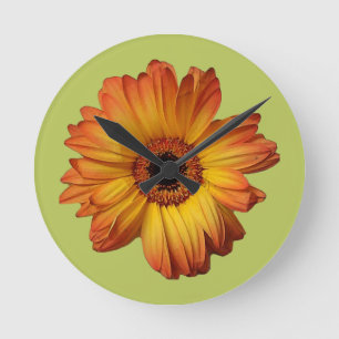 Horloge Ronde Fleur de gerbera d'Orange Sunny