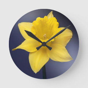 Horloge Ronde Fleur de Narcisse jaune peinture à l'aquarelle flo