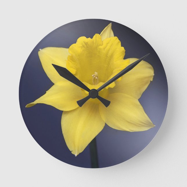 Horloge Ronde Fleur de Narcisse jaune peinture à l'aquarelle flo (Recto)