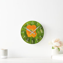 Fleur De Pavot Orange En Floraison Photo Green