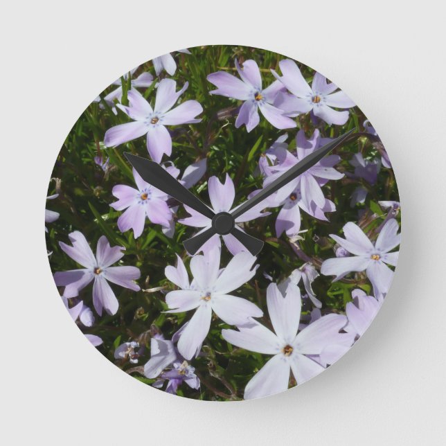 Horloge Ronde Fleur de Phlox (Recto)