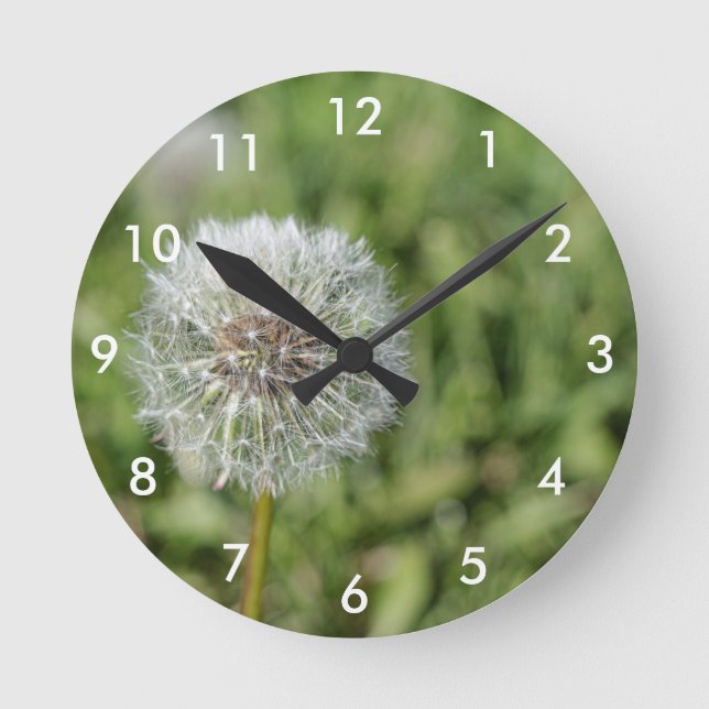 Horloge Ronde Fleur de pissenlit blanc sur herbe verte (Recto)