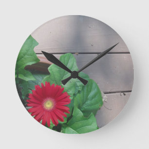 Horloge Ronde Fleur rouge de marguerite de Gerber