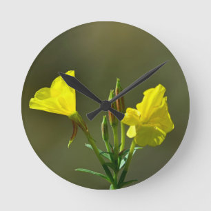 Horloge Ronde Fleur sauvage primrose du soir jaune