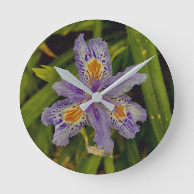 Horloge Ronde fleurir en violet  (Recto)