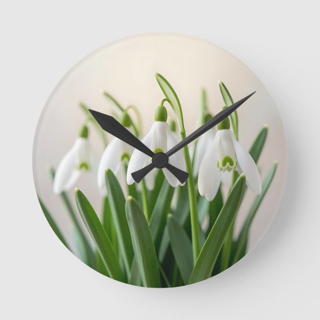 Horloge Ronde Fleurs délicates de perce-neige de printemps (Recto)