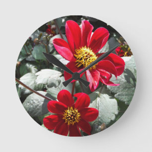 Horloge Ronde fleurs roses d'un rouge ardent de marguerite/margu