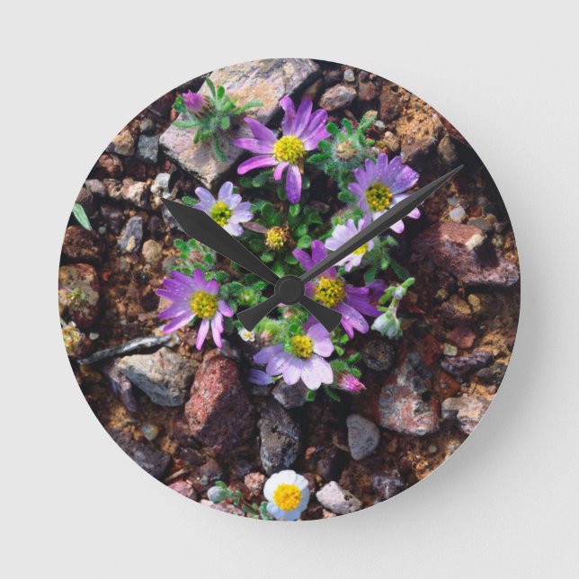Horloge Ronde Fleurs sauvages (Recto)