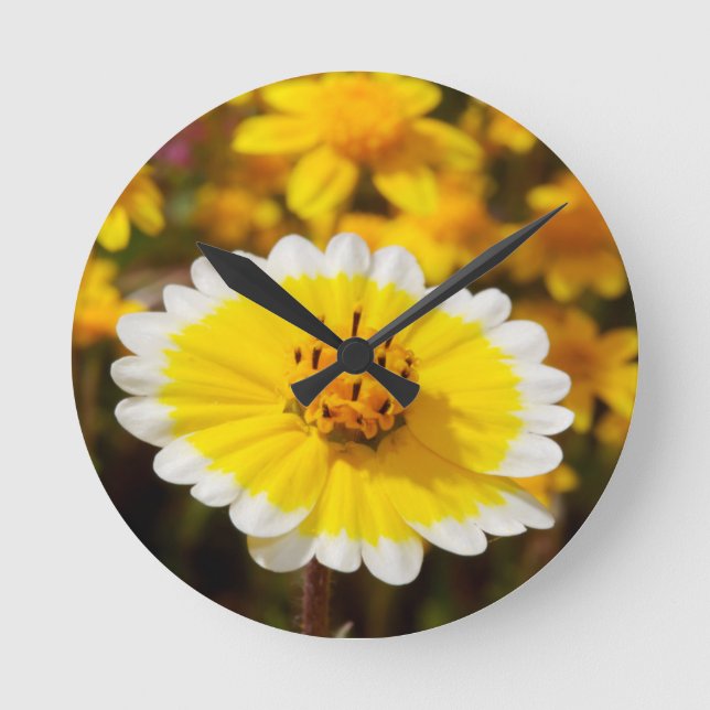 Horloge Ronde Fleurs sauvages Tidy Tip (Recto)