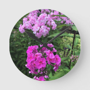 Horloge Ronde Flowers at Château Morrisette Winery, Floyd, VA