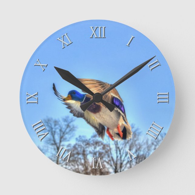 Horloge Ronde Flying Mallard Duck Drake Wildlife Photo (Recto)
