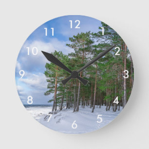 Horloge Ronde Forêt de pins près de la côte maritime en Lettonie