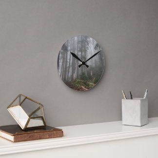 Horloge Ronde Forêt Nature